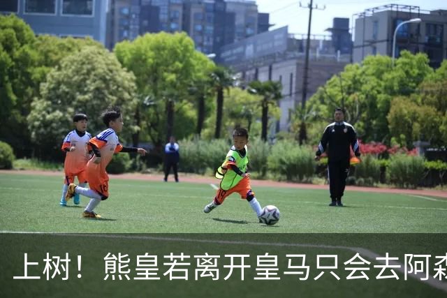 上树！熊皇若离开皇马只会去阿森纳 索要1500万忠诚奖遭弗爷拒绝