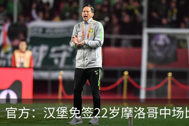 官方：汉堡免签22岁摩洛哥中场比拉勒-纳迪尔